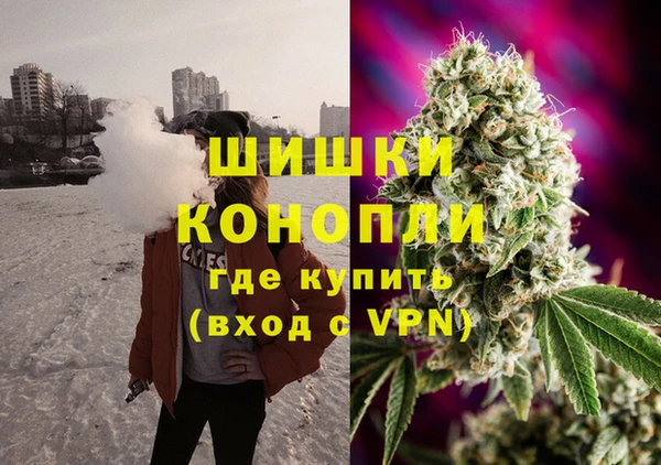 дживик Богородицк