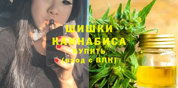 ГАЛЛЮЦИНОГЕННЫЕ ГРИБЫ Бородино