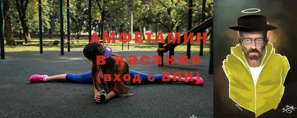 прущие грибы Болотное